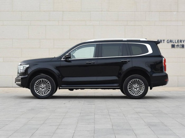 Tank 500 great Wall