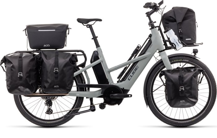 БВС QX Hybrid Cargo