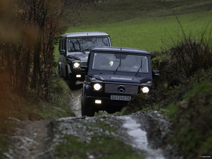 Mercedes-Benz g 270