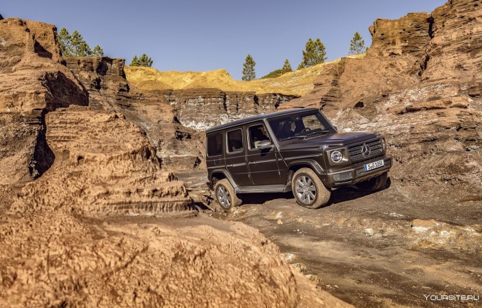Mercedes-Benz g500 w464