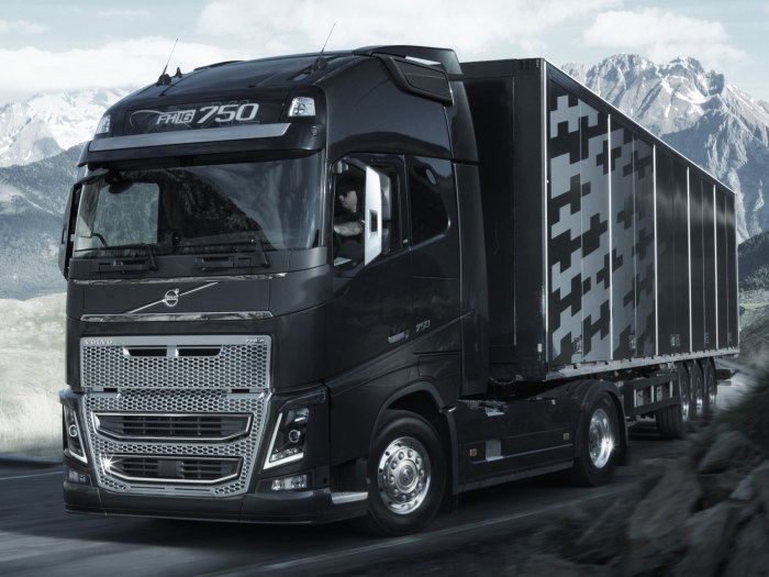 Volvo fh16 750