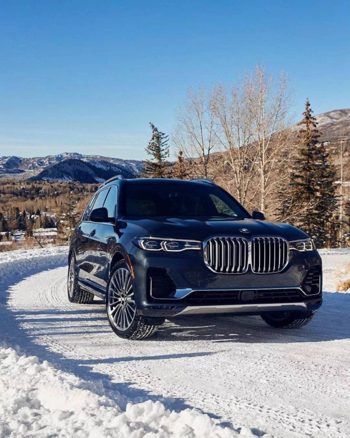 BMW x7 xdrive40d