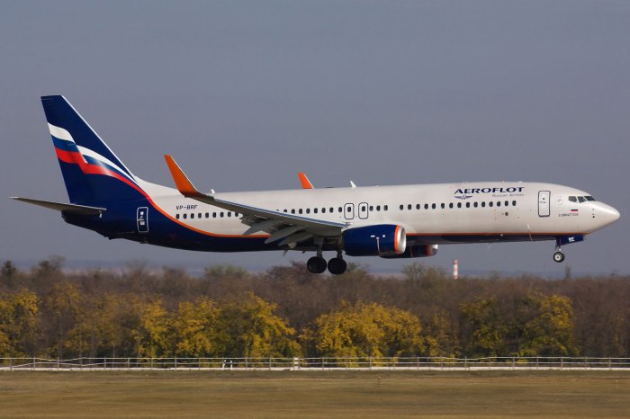 Самолёт Боинг 737-800 Аэрофлот