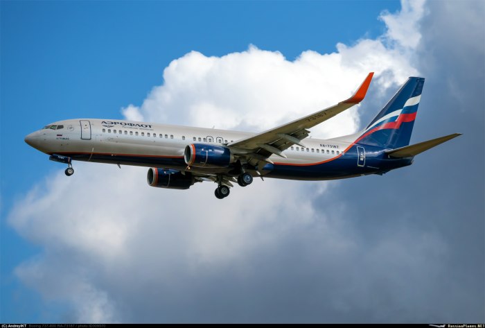 Боинг 737-800 Россия фото