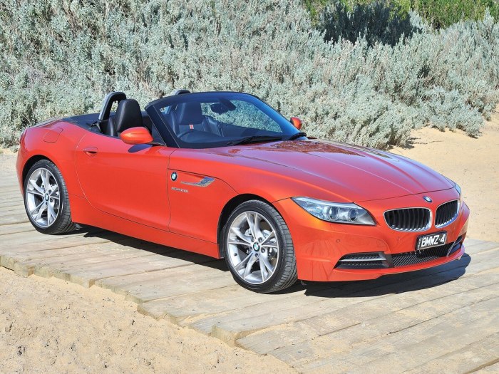BMW z4 SDRIVE