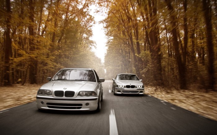 BMW m5 e39 stock