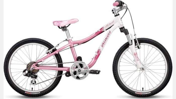 Specialized Hotrock 24