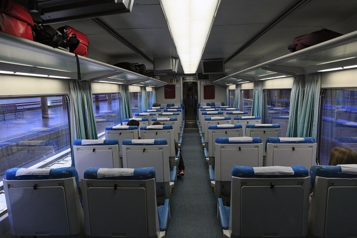 Talgo Стриж поезд
