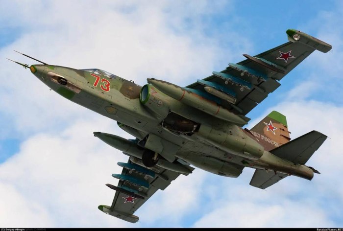 Су-25 Штурмовик