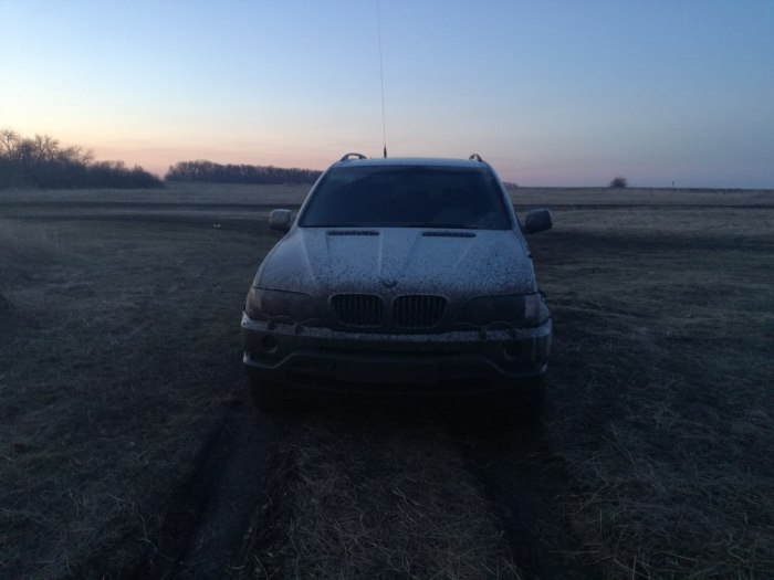 BMW вы диреане