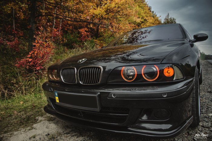 BMW e46 осень
