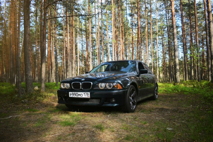 БМВ м5 в лесу