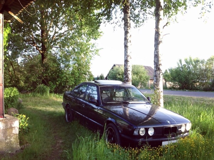 Бмв в деревне