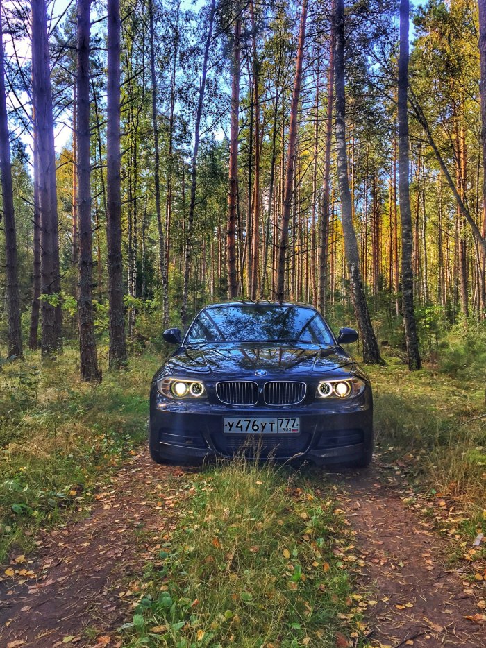 БМВ В лесу