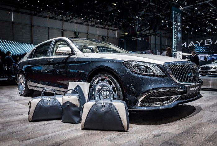 Чемодан Maybach