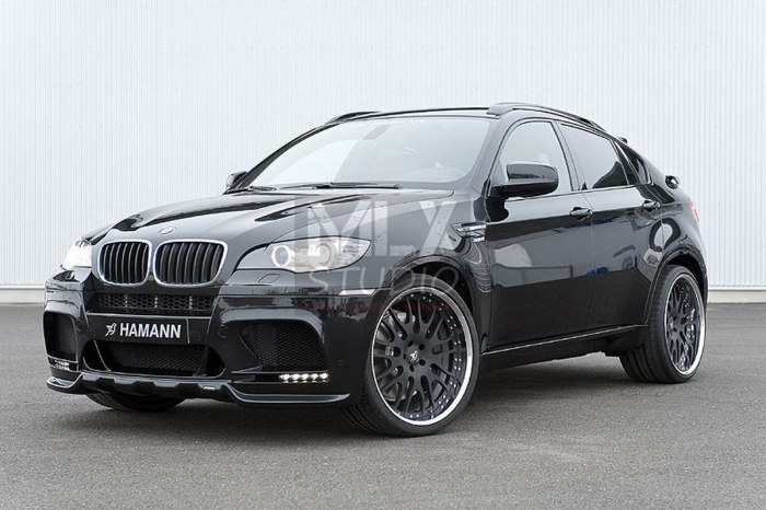 BMW x6 e71 Hamann EVO M