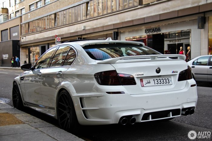 BMW 5 f10 Hamann