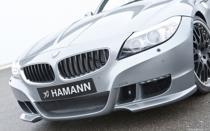 Е89 Hamann