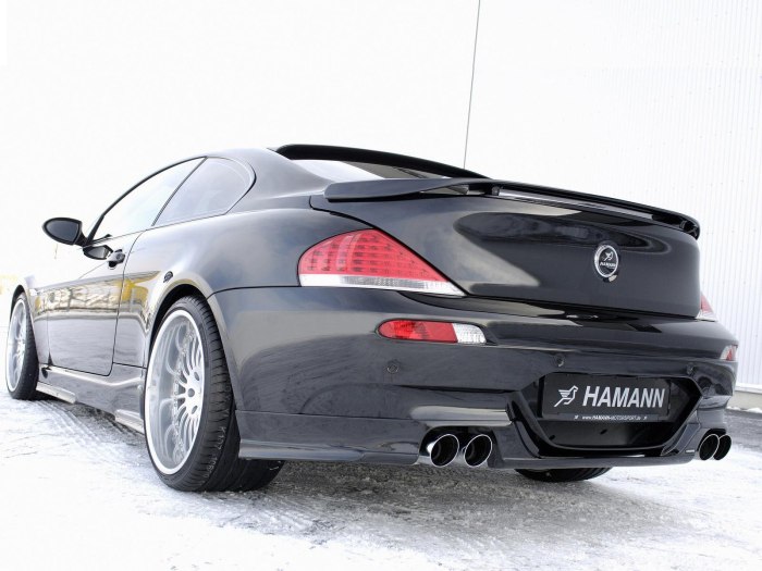 BMW m6 2005