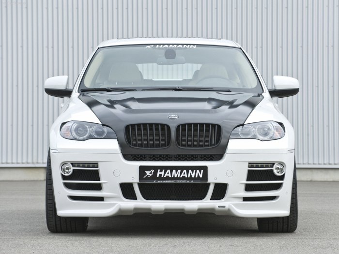 X6 Hamann