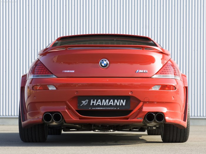 M6 e63 Hamann