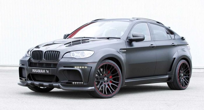 BMW x6 m Hamann Tycoon EVO M
