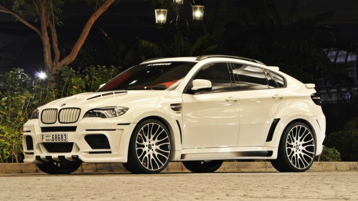 BMW x6 e70 Hamann
