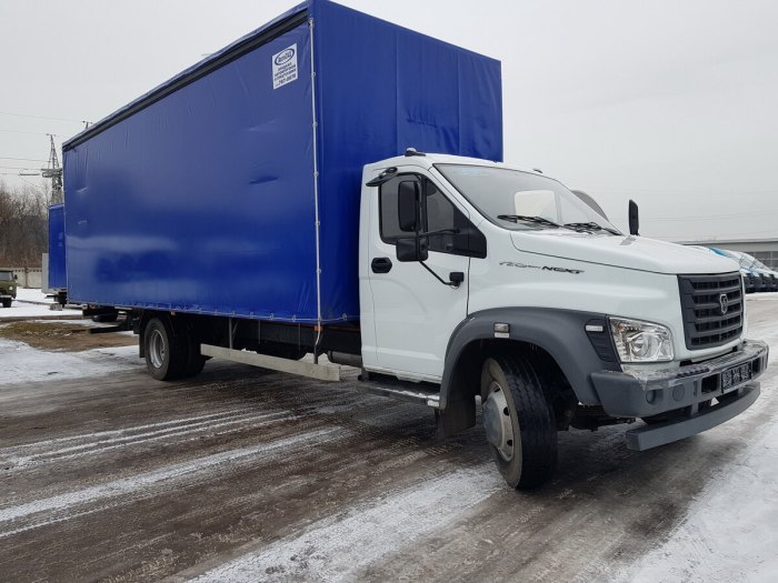 Газон next 3010 GD