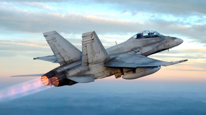 MCDONNELL Douglas f/a-18 Hornet