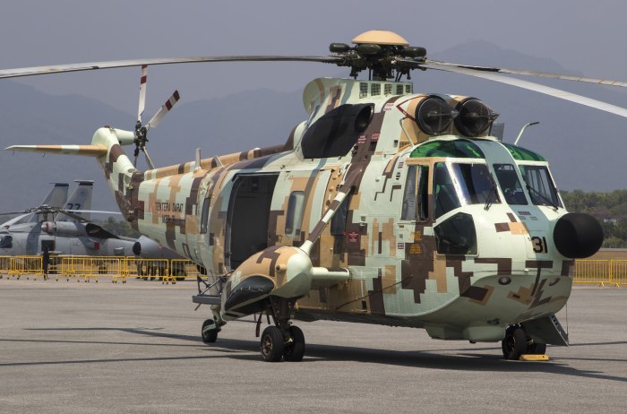 Вертолёт Sikorsky s-61