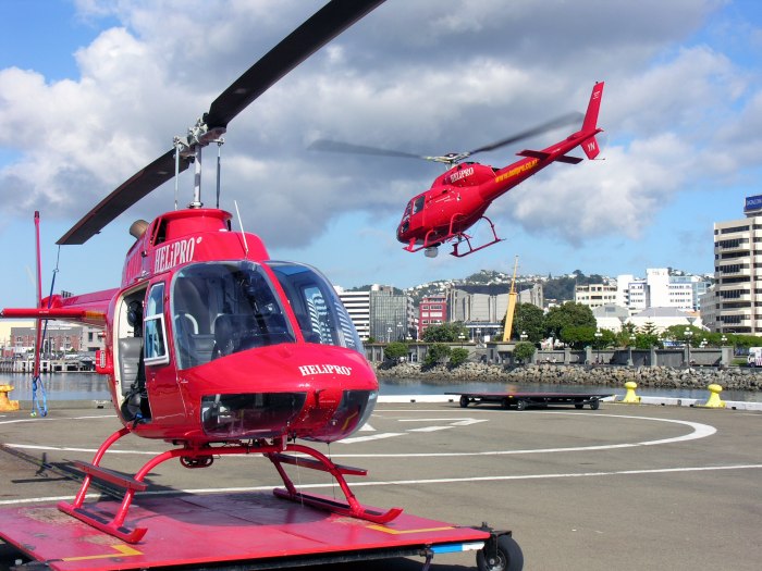 Robinson r66