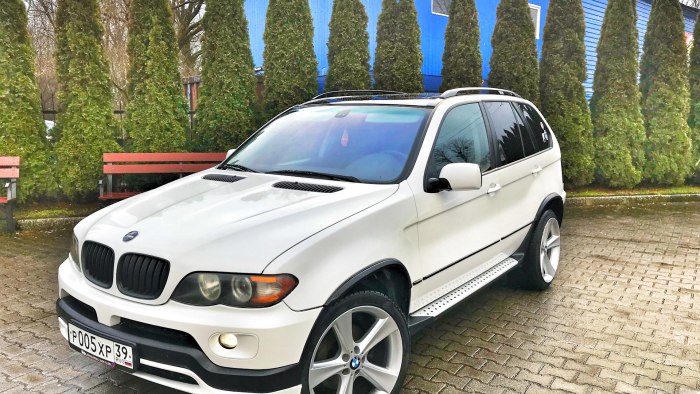 BMW x5 e53 2004