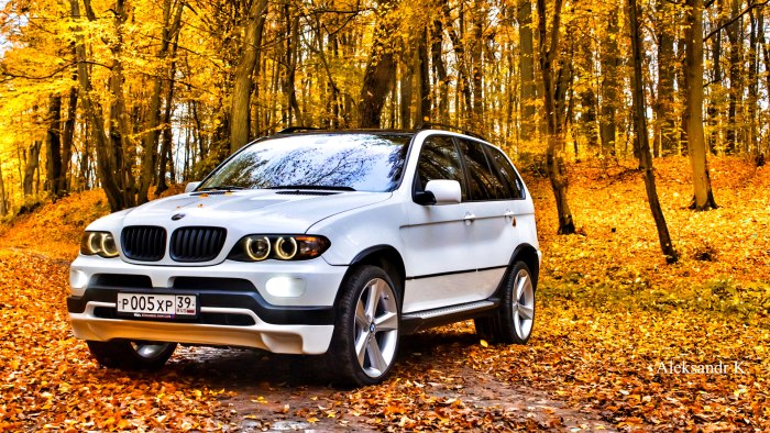 BMW x5 53
