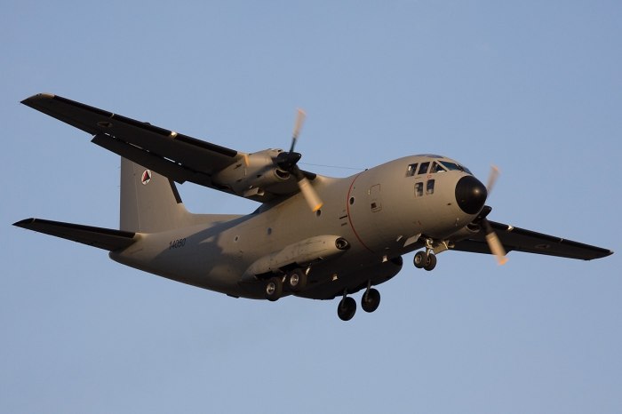 Aeritalia g.222