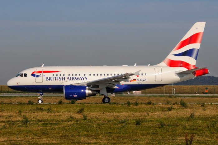 Airbus a318