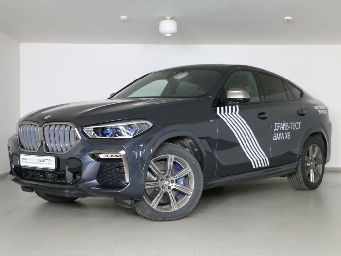 BMW x6 g06 Arctic Grey