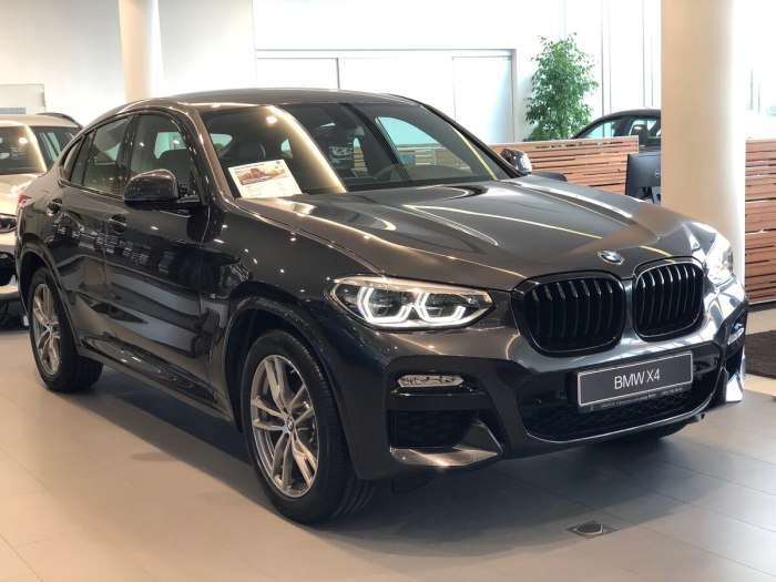 Серый софисто BMW x6 2021