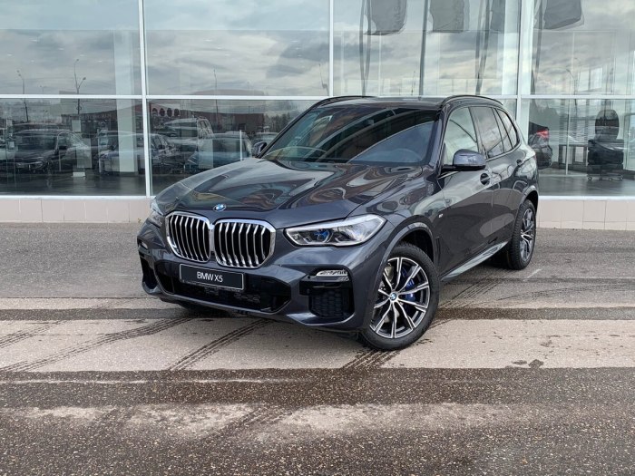 BMW x6 g06 Arctic Grey