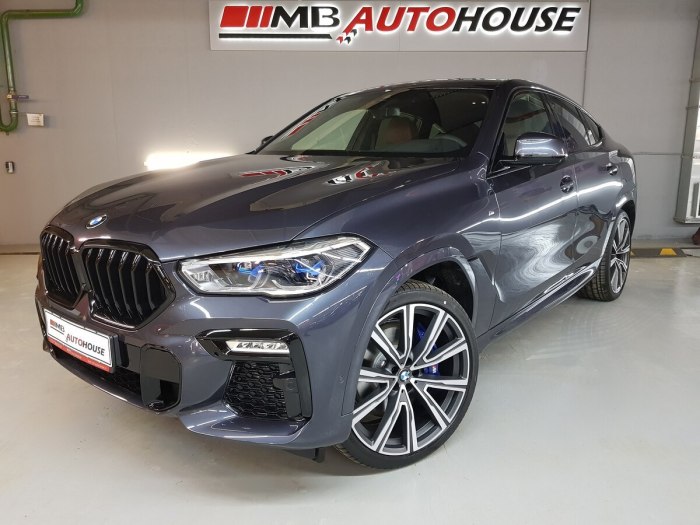 BMW x6 g06 Arctic Grey