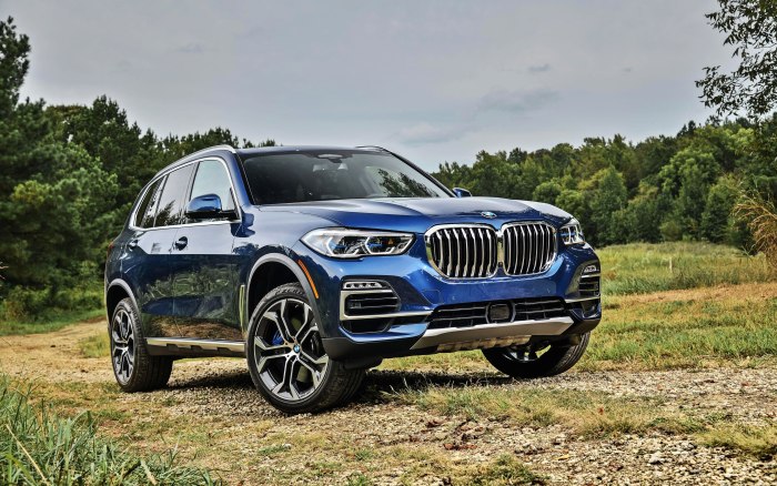 BMW x5 xdrive40i XLINE