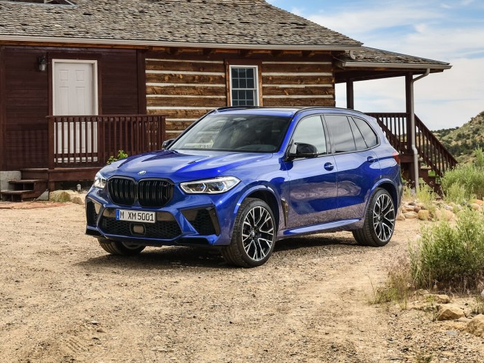 BMW x5 m f95 2019