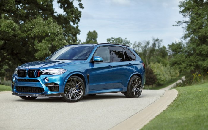 BMW x5 f m