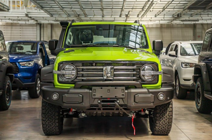 Tank 300 Ranger