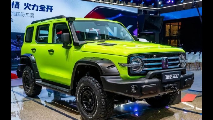 Tank 300 Ranger