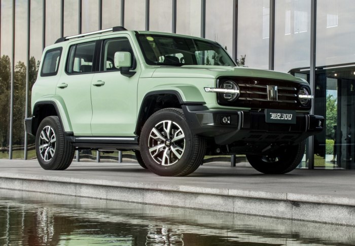 Haval Tank 300
