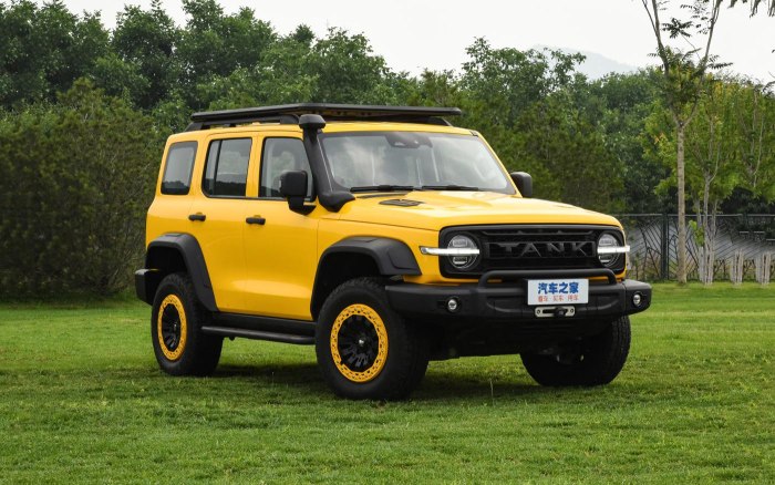 Jeep Tank 300