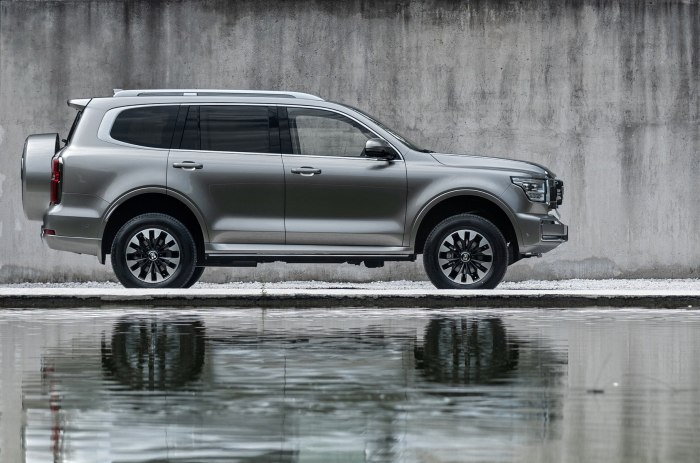 Tank 500 great Wall