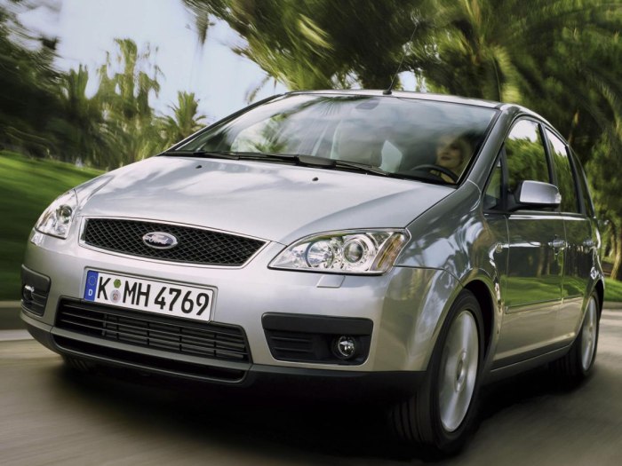 Ford c Max 1