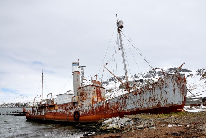 Китобойное судно «Чарльз Морган»