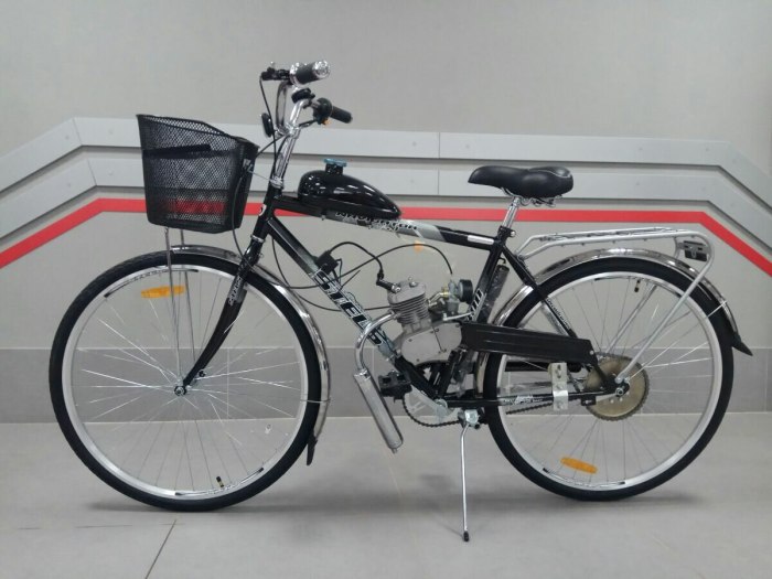 Stels Navigator 300 Gent с веломотором